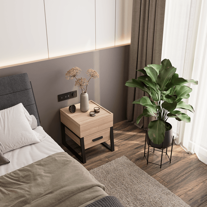 پاتختی رامونا